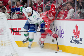 Canucks Red Wings Hockey