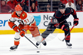 Ducks Hurricanes Hockey