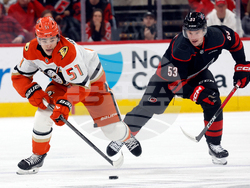 Ducks Hurricanes Hockey