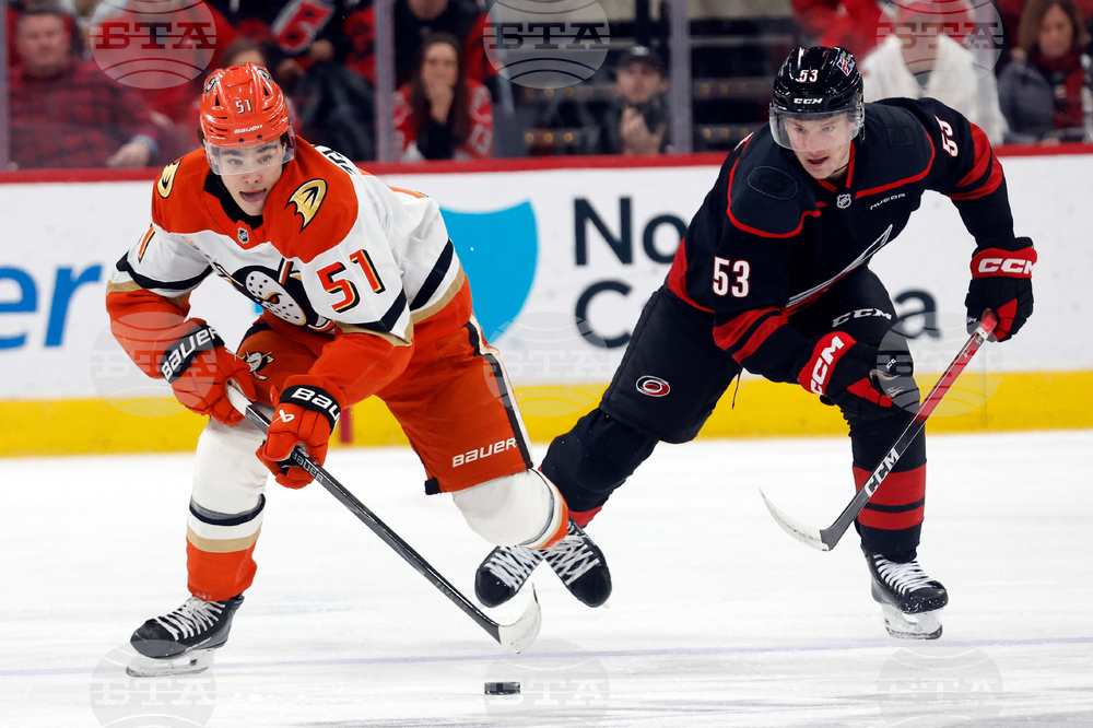 Ducks Hurricanes Hockey