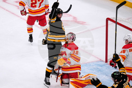 Flames Bruins Hockey