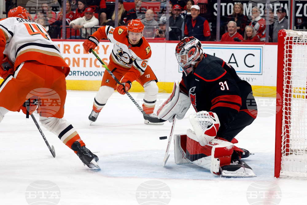 Ducks Hurricanes Hockey