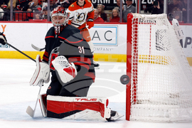 Ducks Hurricanes Hockey