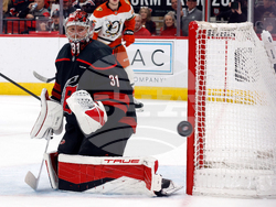 Ducks Hurricanes Hockey