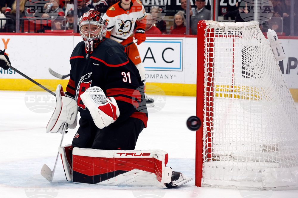 Ducks Hurricanes Hockey