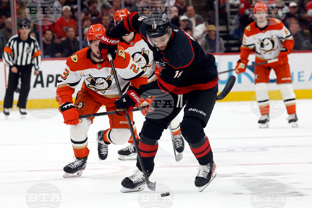 Ducks Hurricanes Hockey