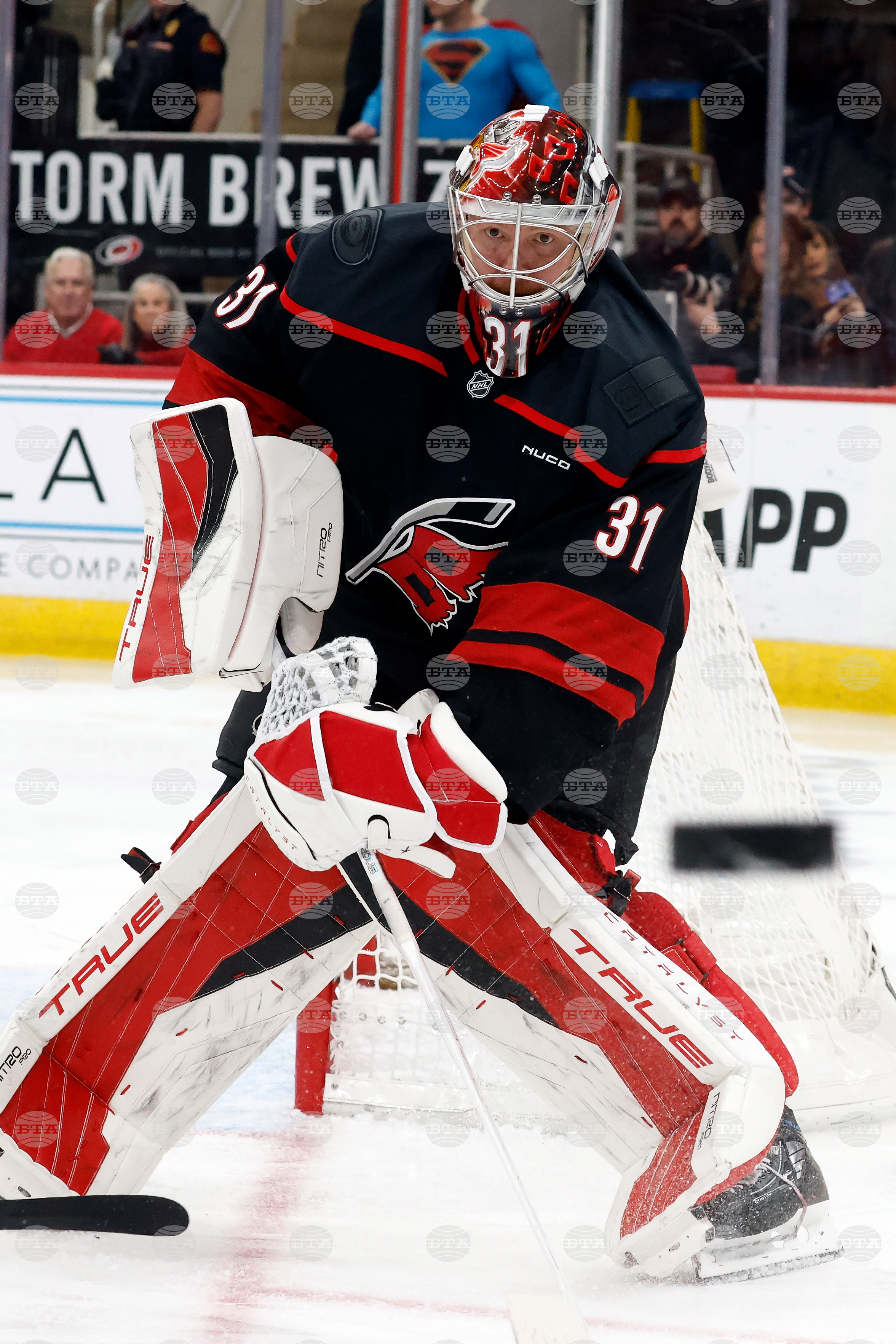 Ducks Hurricanes Hockey