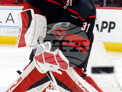 Ducks Hurricanes Hockey