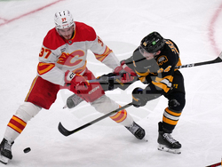 Flames Bruins Hockey