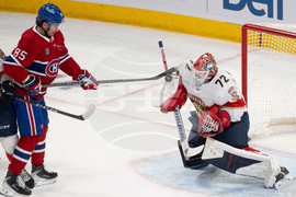 Panthers Canadiens Hockey