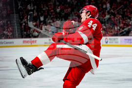 Canucks Red Wings Hockey