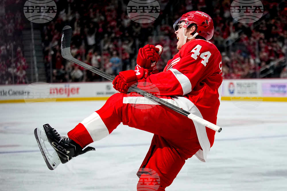 Canucks Red Wings Hockey