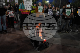 Immigration Enforcement Los Angeles