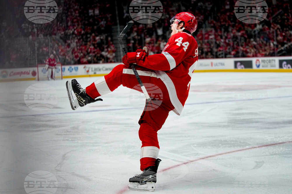 Canucks Red Wings Hockey