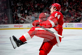 Canucks Red Wings Hockey