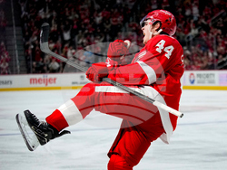 Canucks Red Wings Hockey