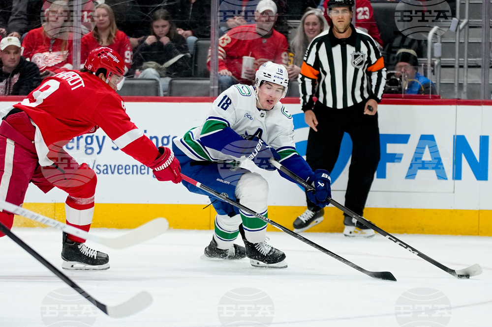 Canucks Red Wings Hockey