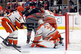 Ducks Hurricanes Hockey