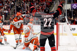 Ducks Hurricanes Hockey