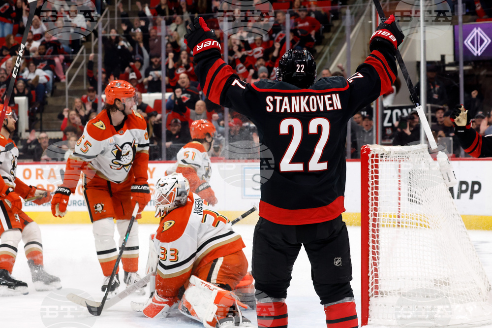 Ducks Hurricanes Hockey