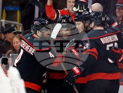 Ducks Hurricanes Hockey