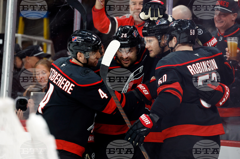 Ducks Hurricanes Hockey