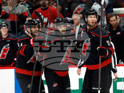 Ducks Hurricanes Hockey