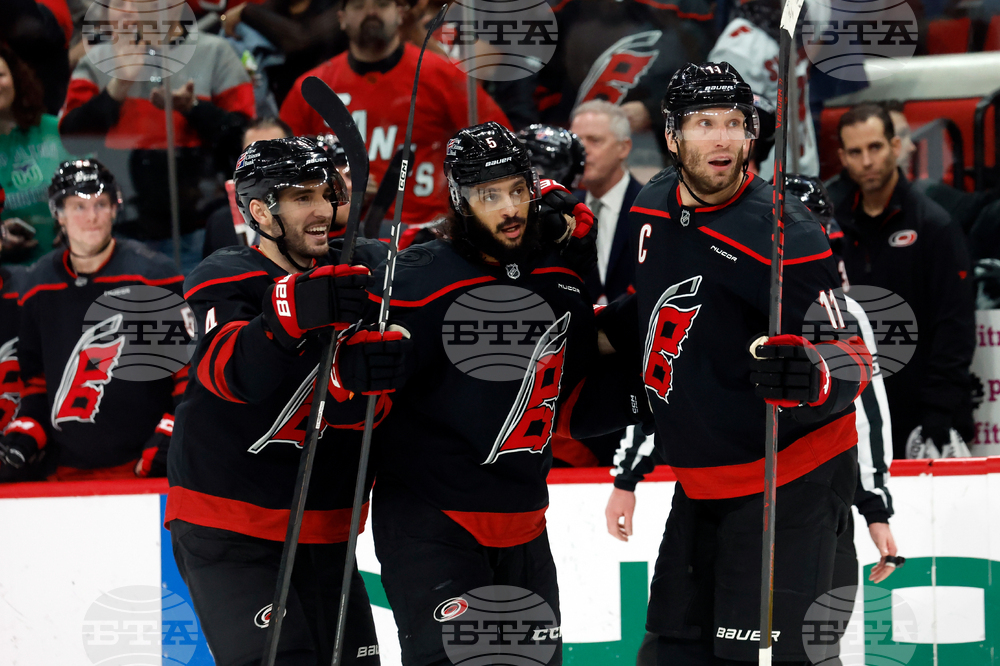 Ducks Hurricanes Hockey