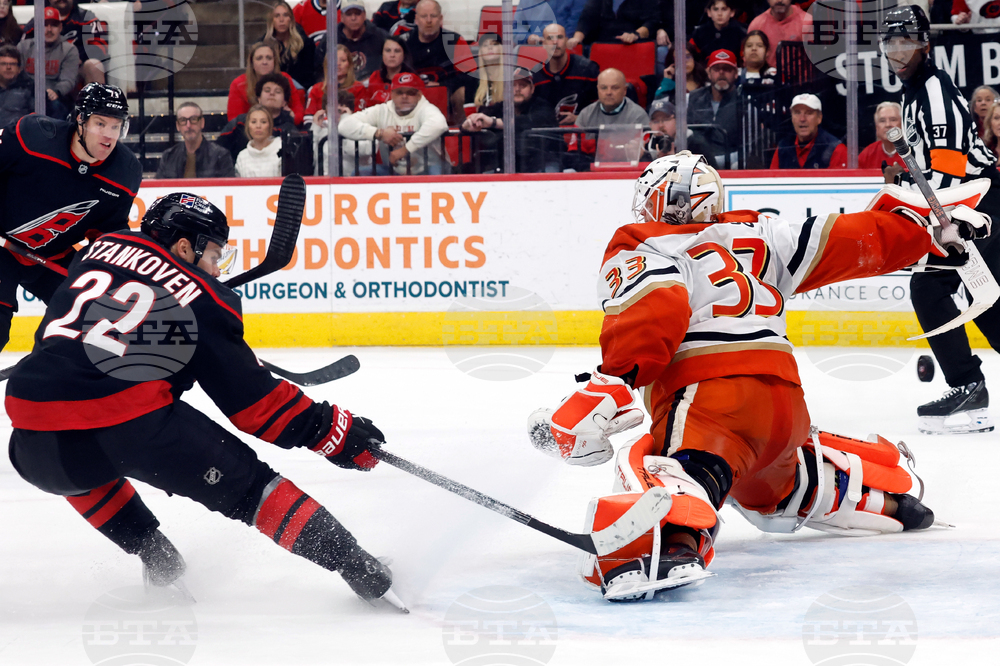 Ducks Hurricanes Hockey