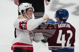 Senators Avalanche Hockey