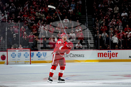 Canucks Red Wings Hockey