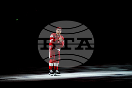 Canucks Red Wings Hockey