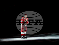 Canucks Red Wings Hockey