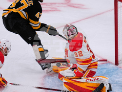 Flames Bruins Hockey