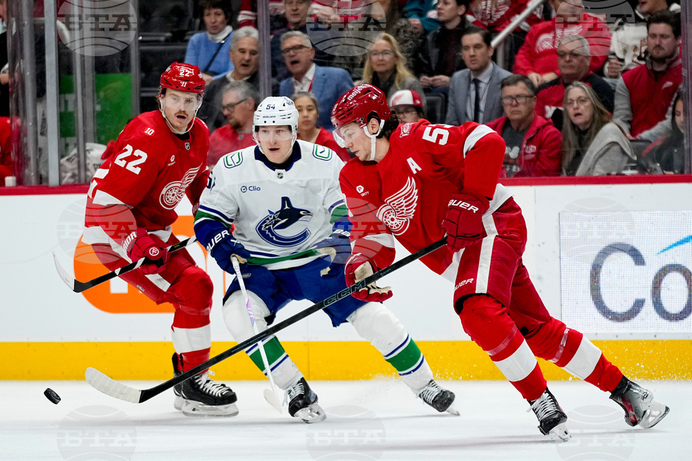Canucks Red Wings Hockey