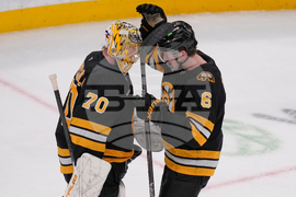 Flames Bruins Hockey