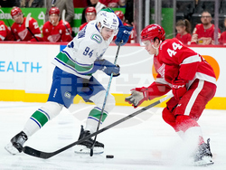 Canucks Red Wings Hockey