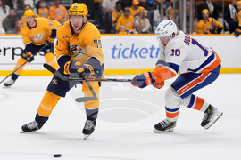 Islanders Predators Hockey