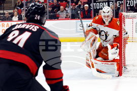 Ducks Hurricanes Hockey