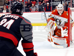 Ducks Hurricanes Hockey