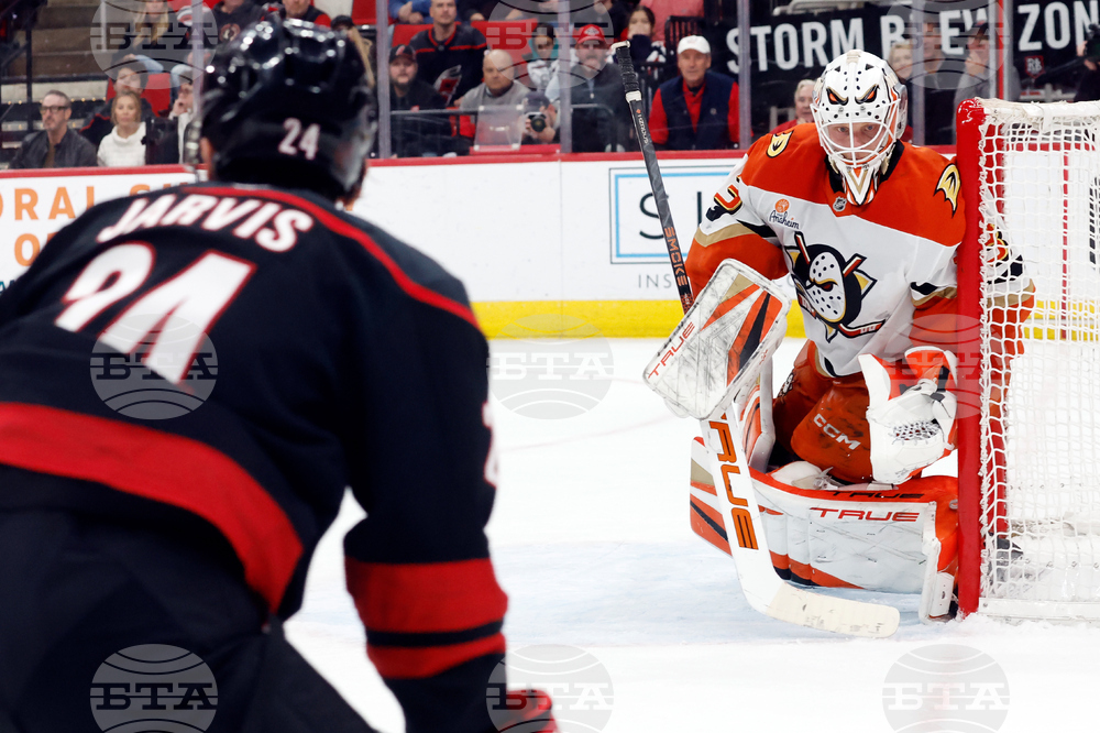 Ducks Hurricanes Hockey