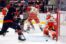 Ducks Hurricanes Hockey