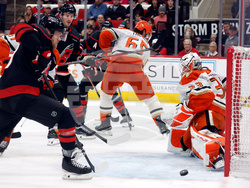 Ducks Hurricanes Hockey