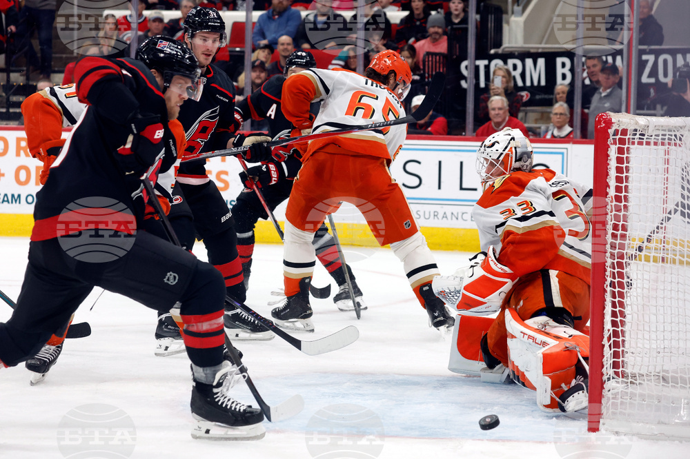 Ducks Hurricanes Hockey