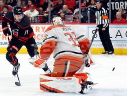 Ducks Hurricanes Hockey