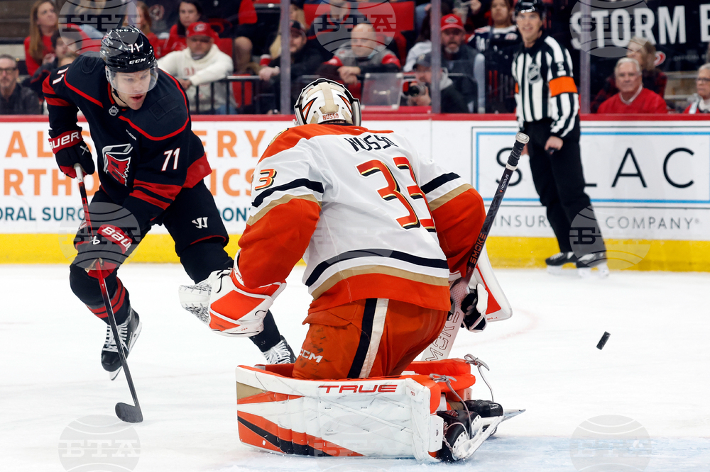 Ducks Hurricanes Hockey