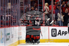 Ducks Hurricanes Hockey