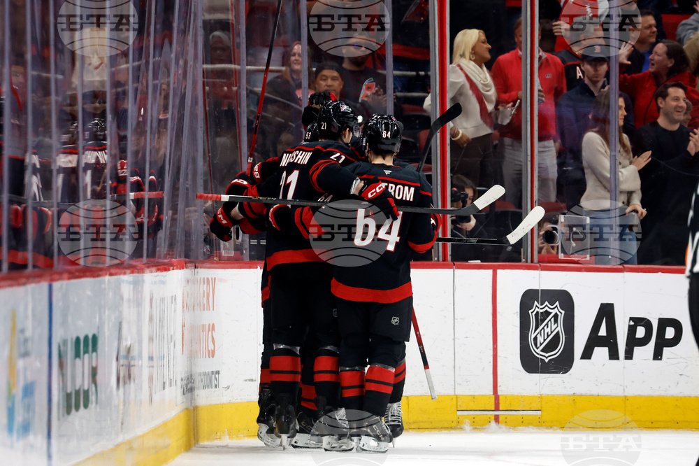 Ducks Hurricanes Hockey