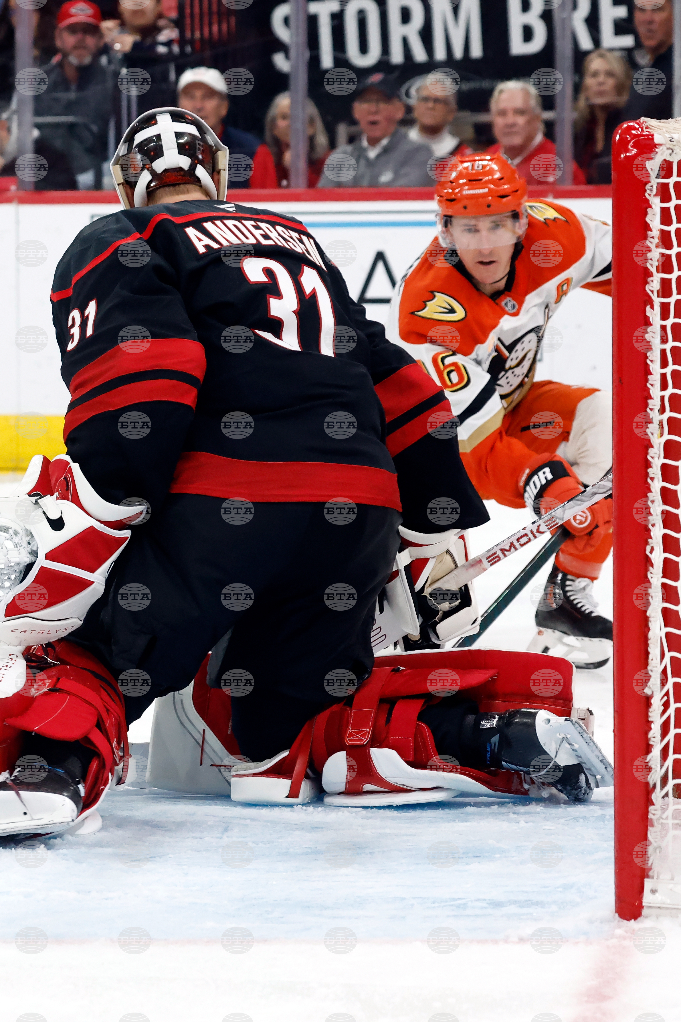 Ducks Hurricanes Hockey