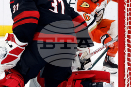 Ducks Hurricanes Hockey